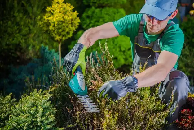 landscaping services Dayton